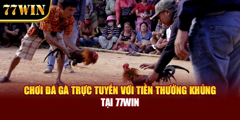 Chơi Đá Gà Trực Tuyến Với Tiền Thưởng Khủng Tại 77WIN