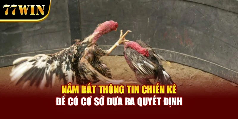 Nắm bắt thông tin chiến kê để có cơ sở đưa ra quyết định