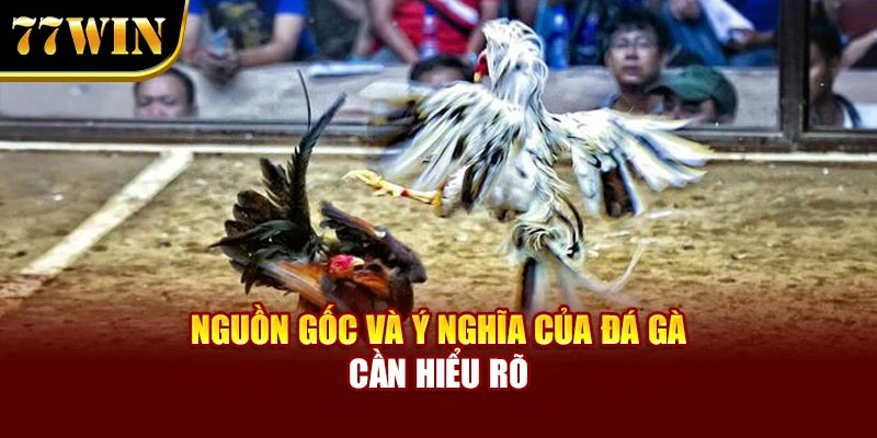 Nguồn gốc và ý nghĩa của đá gà cần hiểu rõ