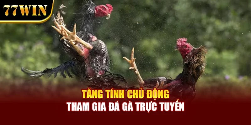 Tăng tính chủ động tham gia đá gà trực tuyến