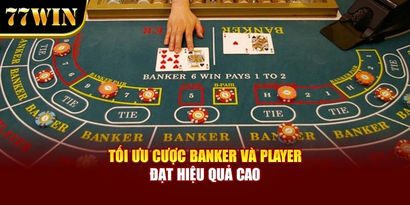 Tối ưu cược Banker và Player đạt hiệu quả cao